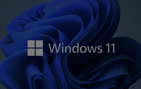 windows 11 image